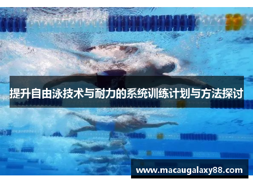 提升自由泳技术与耐力的系统训练计划与方法探讨